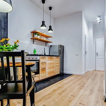 公寓 Lubartowska Street 卢布林